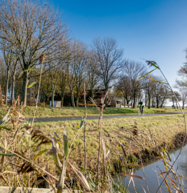 Bomen Leeuwarden