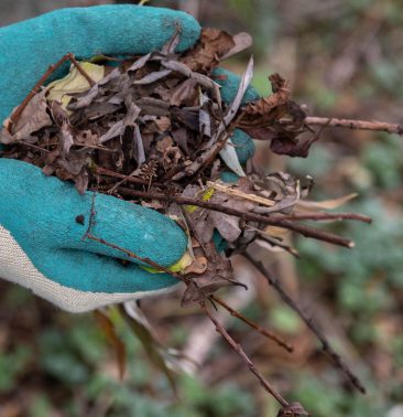 `blaadjes gebruiken als natuurlijke meststof