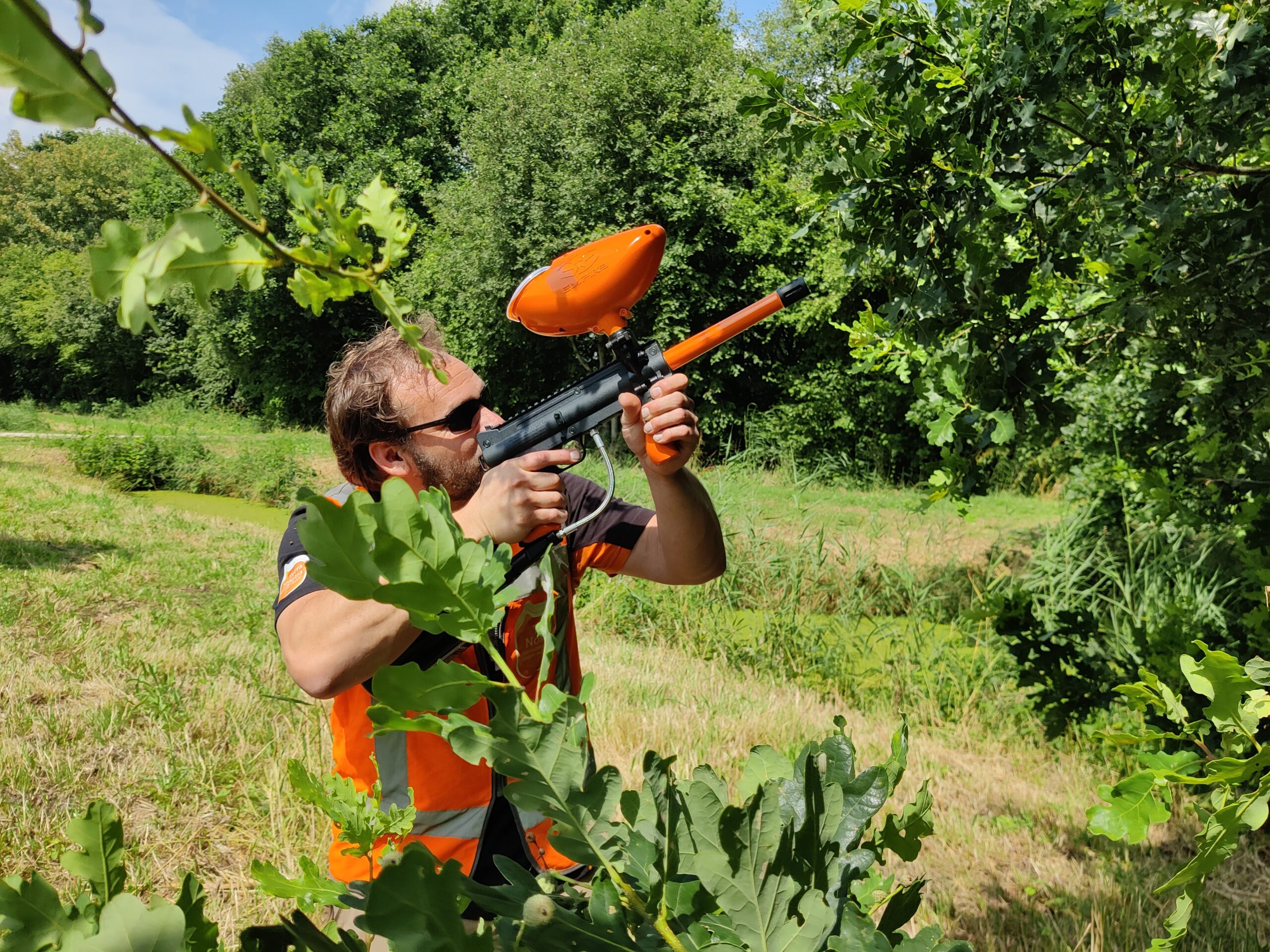 Medewerker Terra Nostra schiet met een soort paintballpistool feromonen in de boom tegen de eikenprocessievlinder